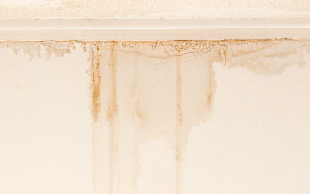 How To Repair Water Leak In Wall at Nancy Vaughn blog